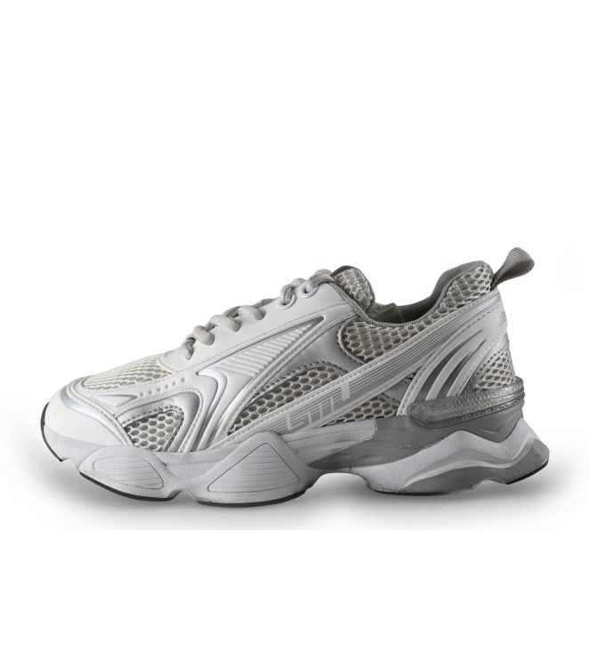 Steve Madden Sneaker