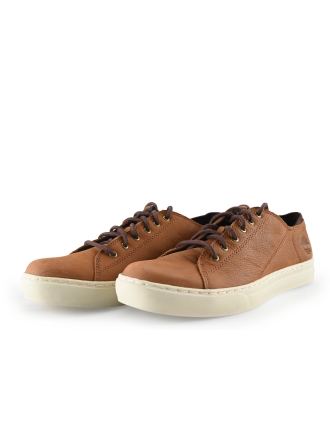 Timberland Sneaker Braun 316786