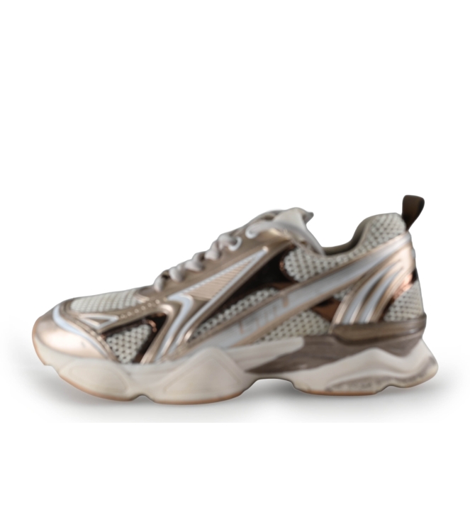 Steve Madden Sneaker