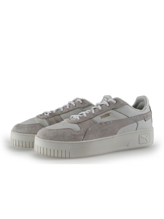 Puma Sneaker Grau 317493
