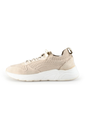 Nelson Sneaker Beige 317930
