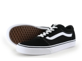 Vans Sneaker