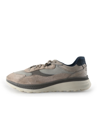 Geox Sneaker Beige 318214