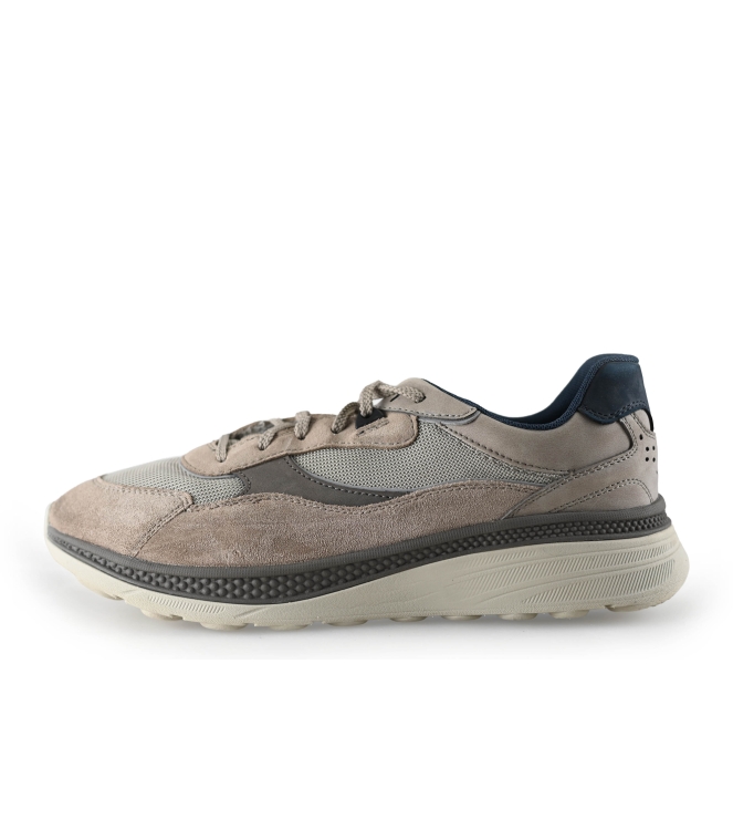 Geox Sneaker