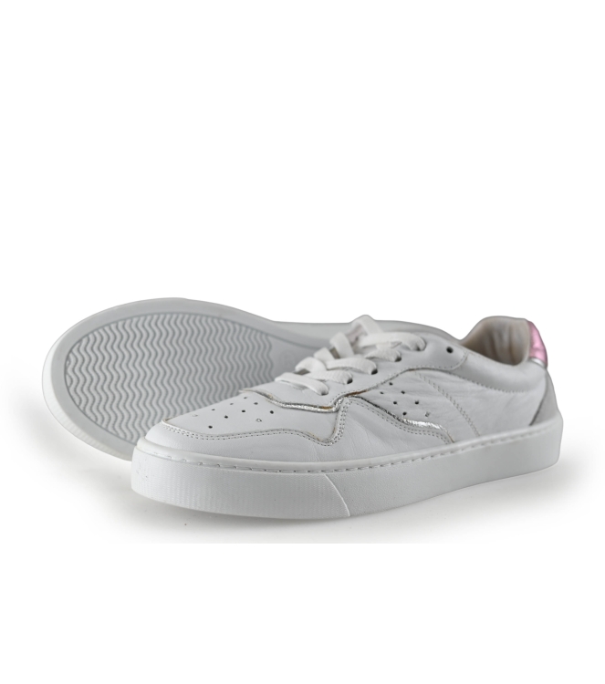 Colorsofcalifornia Sneaker