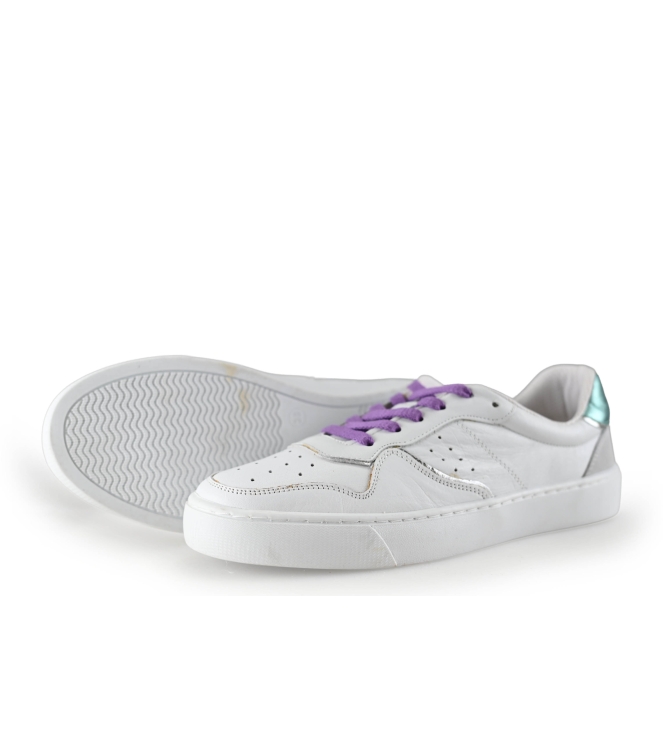 Colors of California Sneaker