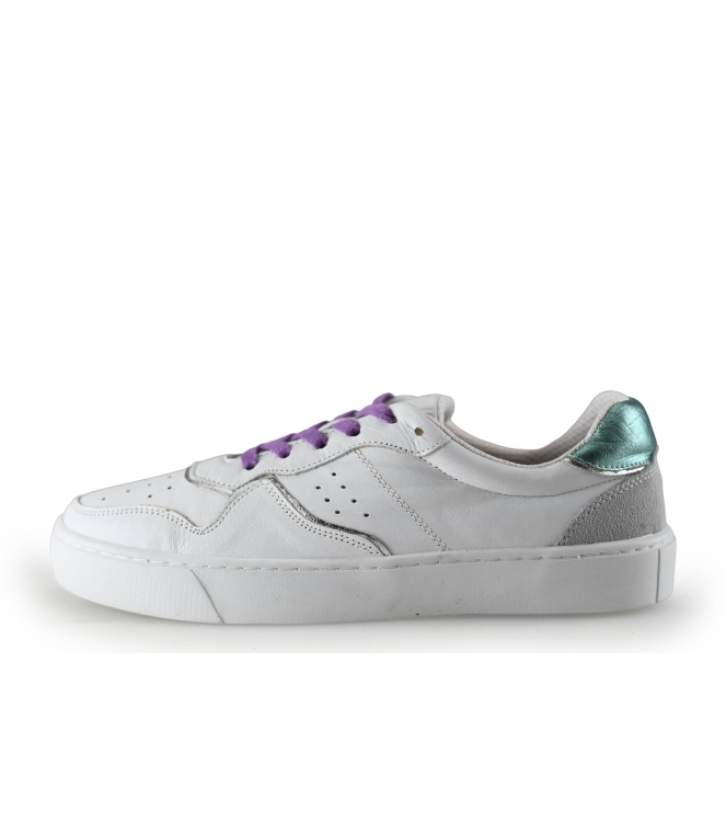 Colors of California Sneaker