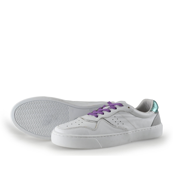 Colors of California Sneaker