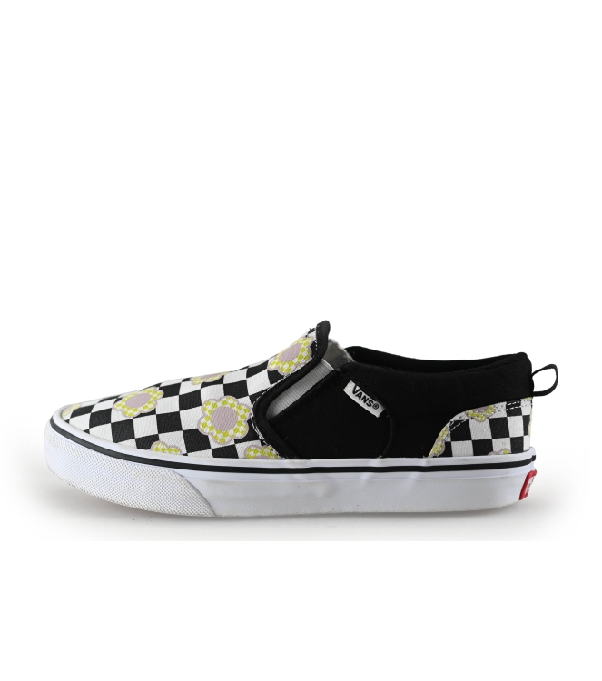 Vans Slip-ons