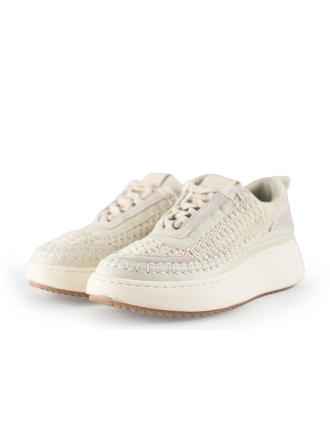 Steve Madden Sneaker Beige 318841
