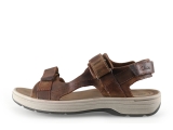 Clarks Sandalen