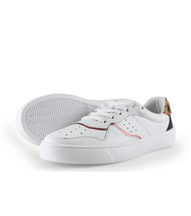 Colors of California Sneaker