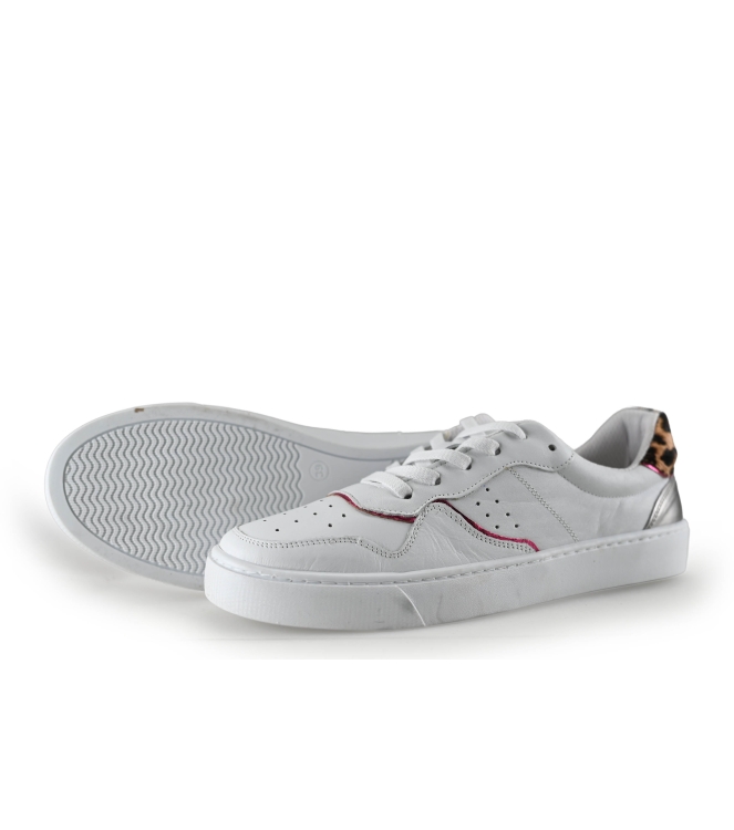 Colors of California Sneaker