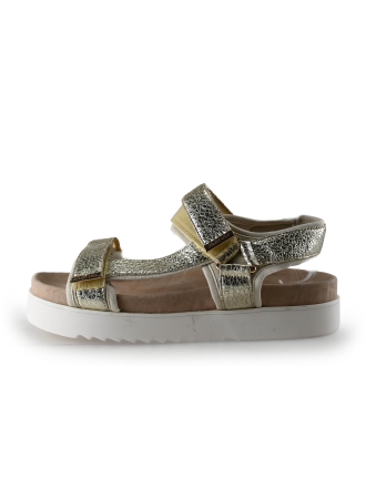 Maruti Sandalen Gold 322046