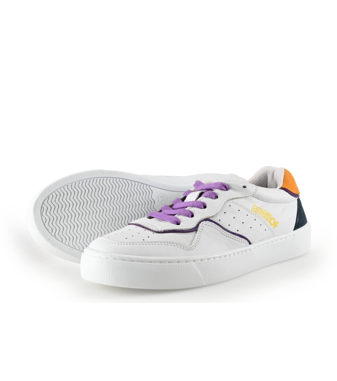 Colors of California Sneaker