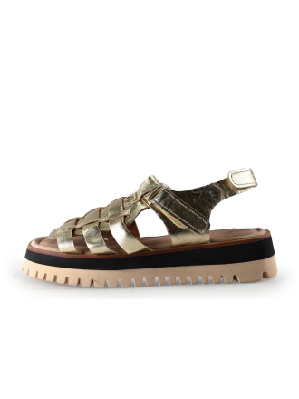 Maruti Sandalen Gold 322967