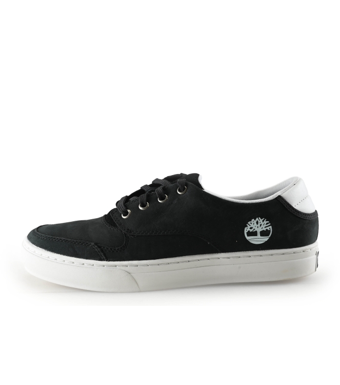 Timberland Sneaker