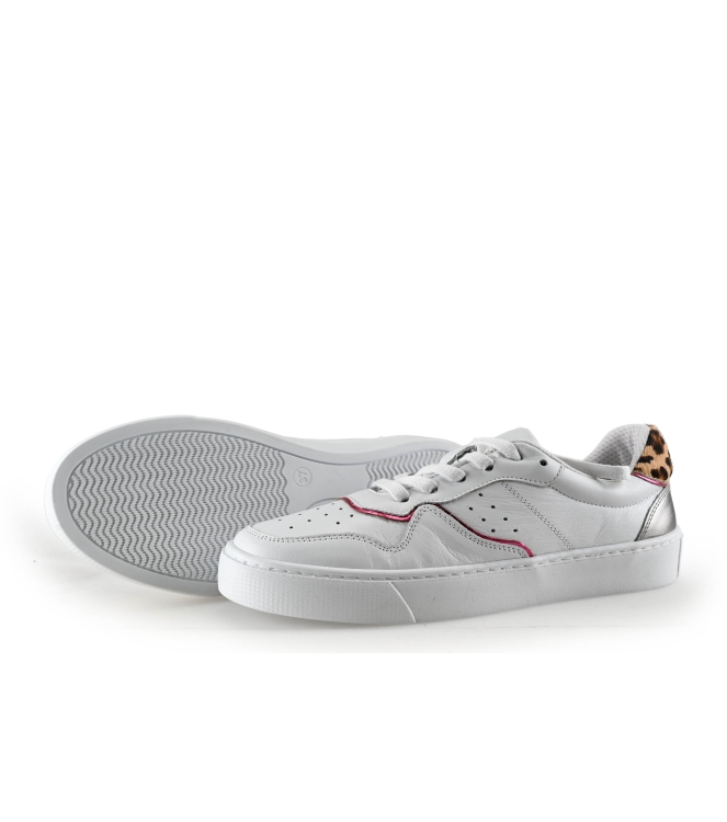 Colors of California Sneaker