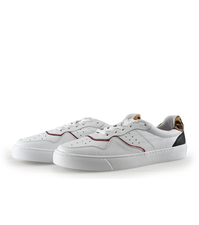 Colors of California Sneaker