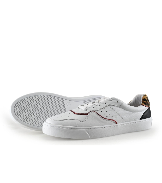 Colors of California Sneaker