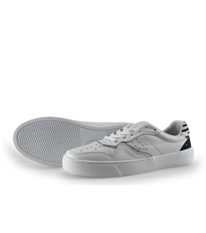 Colors of California Sneaker