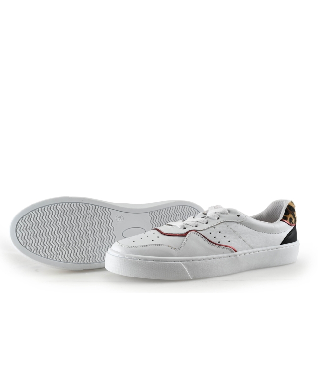 Colors of California Sneaker