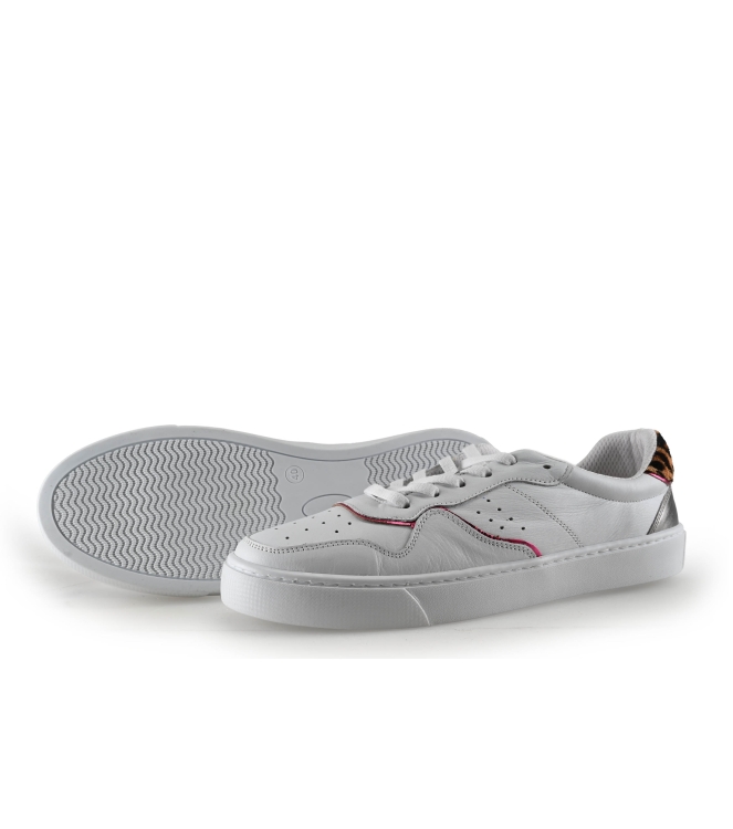 Colors of California Sneaker