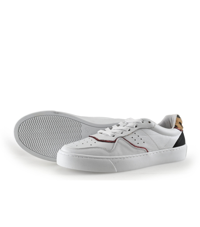 Colors of California Sneaker