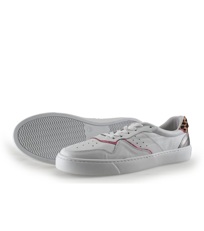 Colors of California Sneaker