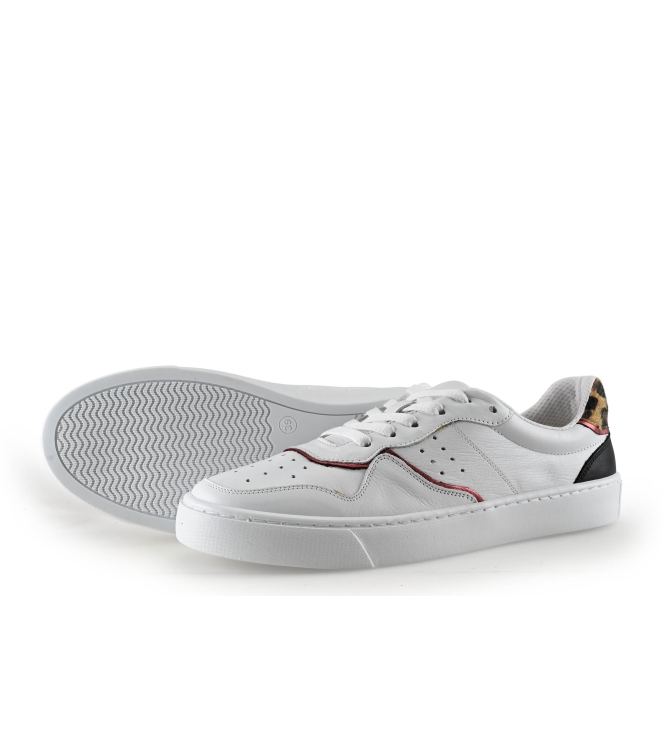 Colors of California Sneaker