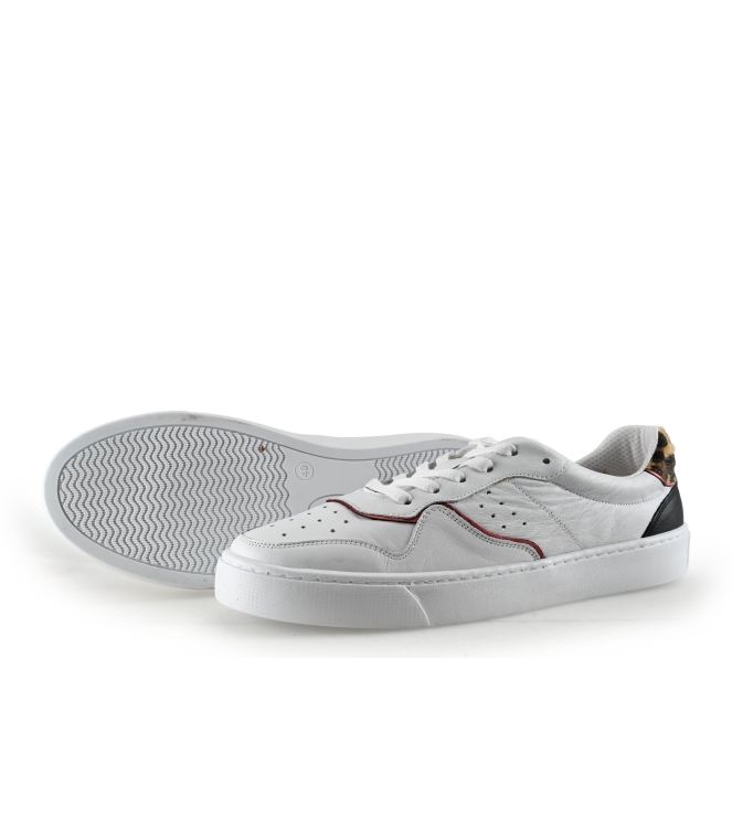 Colors of California Sneaker