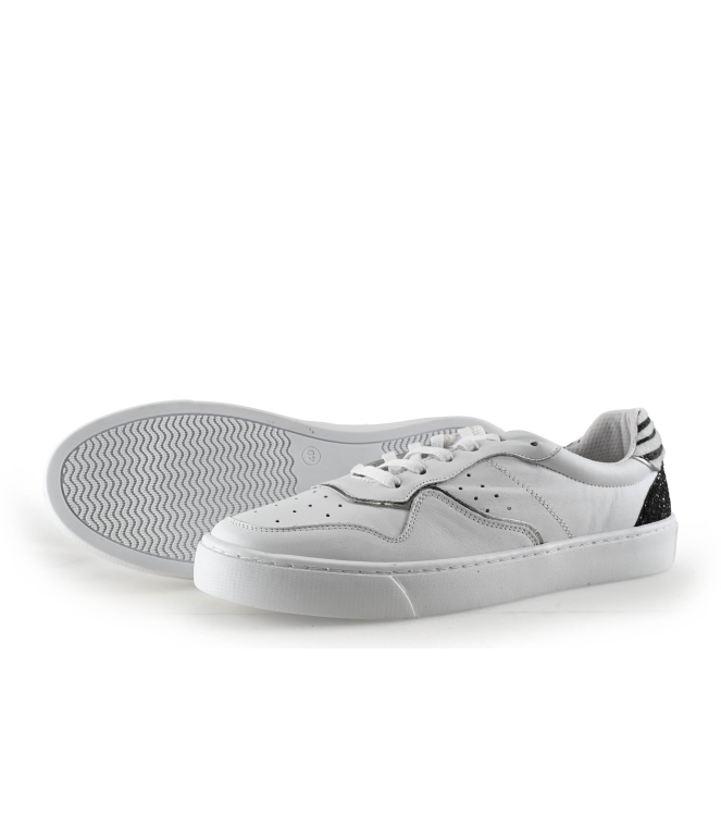 Colors of California Sneaker