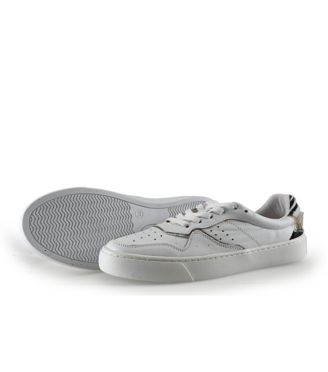 Colors of California Sneaker