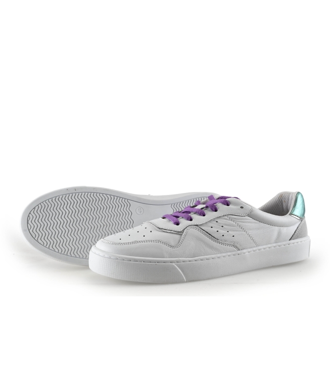 Colors of California Sneaker