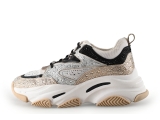Steve Madden Sneaker