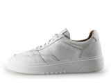 Manfield Sneaker