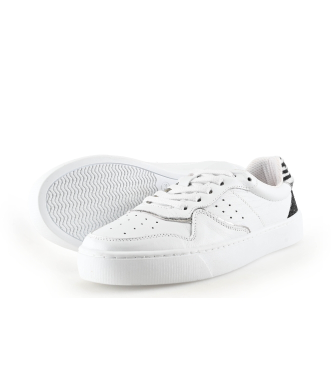 Colors of California Sneaker