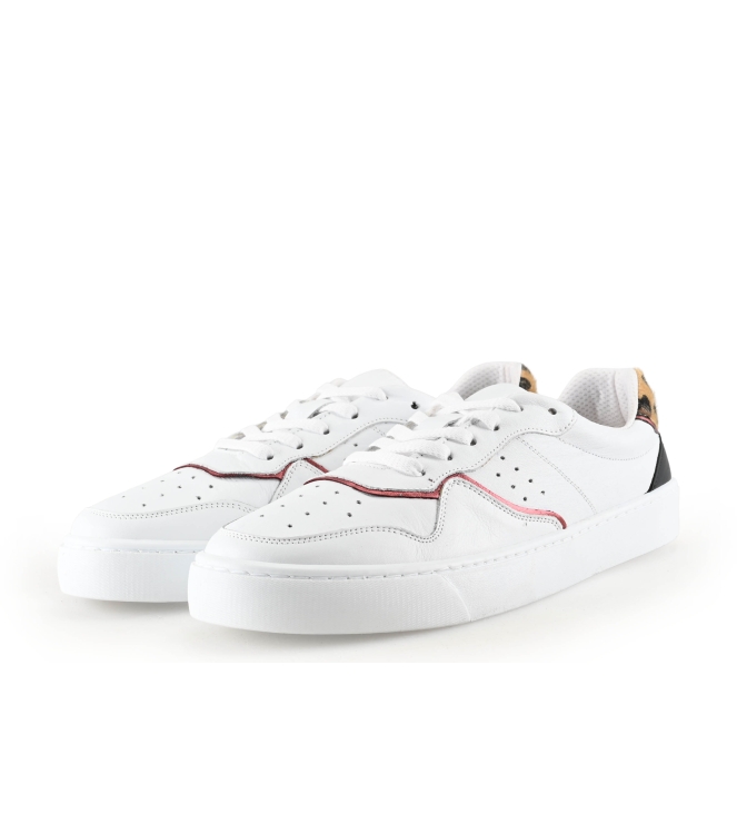 Colors of California Sneaker