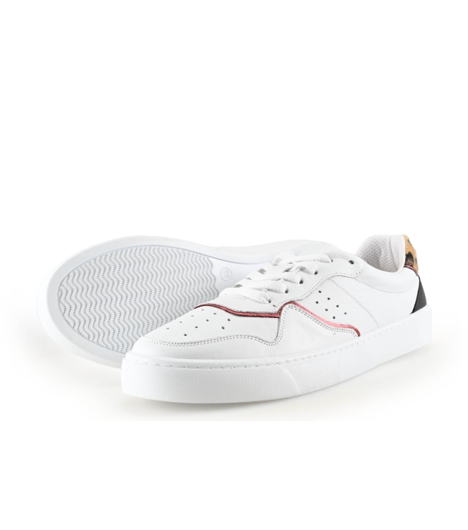 Colors of California Sneaker