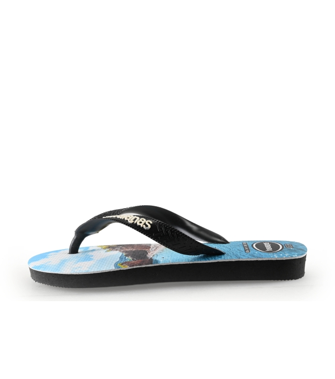 Havaianas Flip-Flops