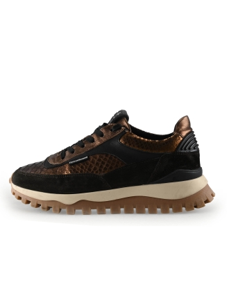 Floris van Bommel Sneaker Braun 329549
 Größe 39
 