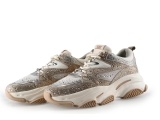 Steve Madden Sneaker
