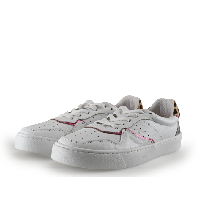 Colors of California Sneaker