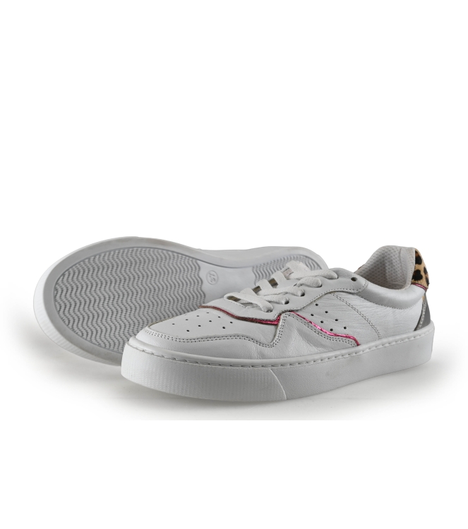 Colors of California Sneaker