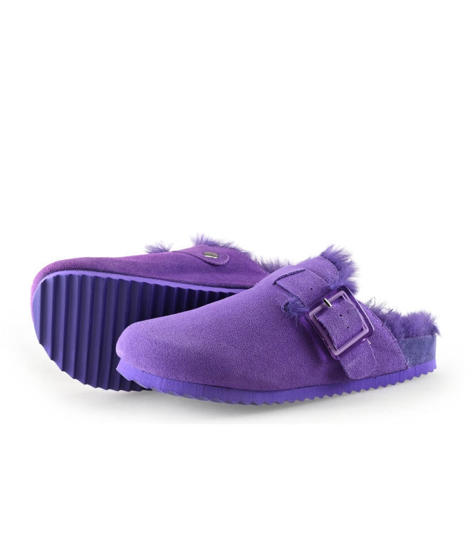 Colors of California Mules Pantoletten