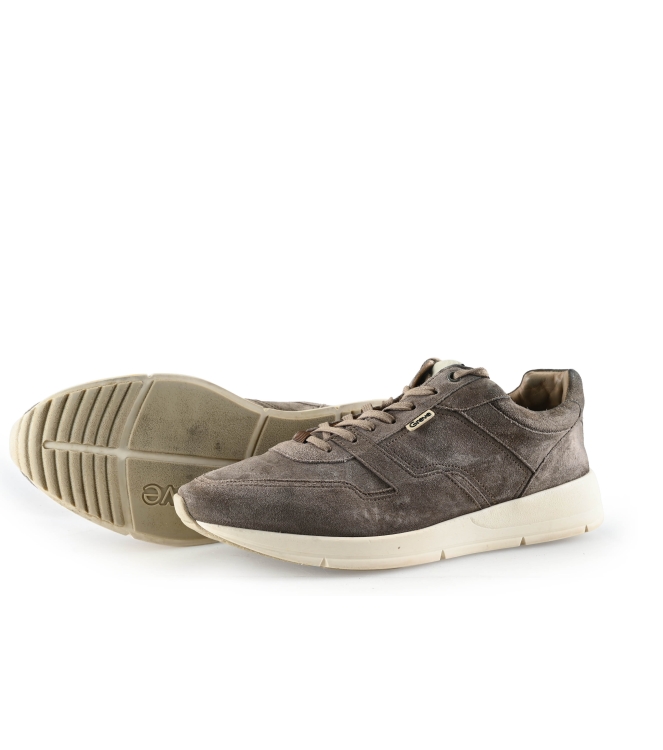 Greve Sneaker
