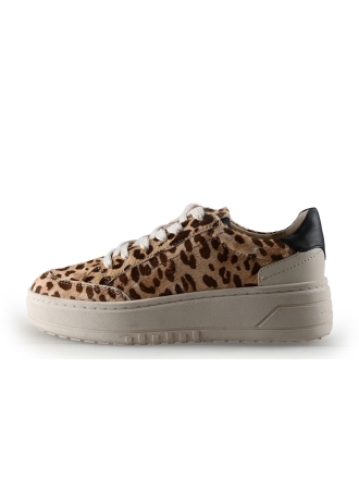 Manfield Sneaker Leopardenmuster 332781
 Größe 36
 