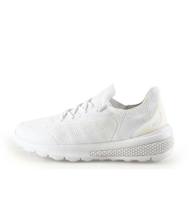 Geox Sneaker