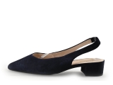 Gabor pumps