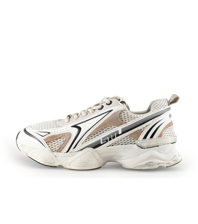 Steve Madden Sneaker